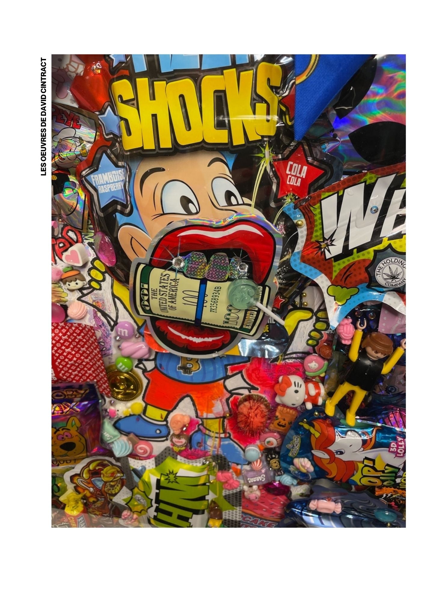 Catalogue Pop street art Kelly Arty