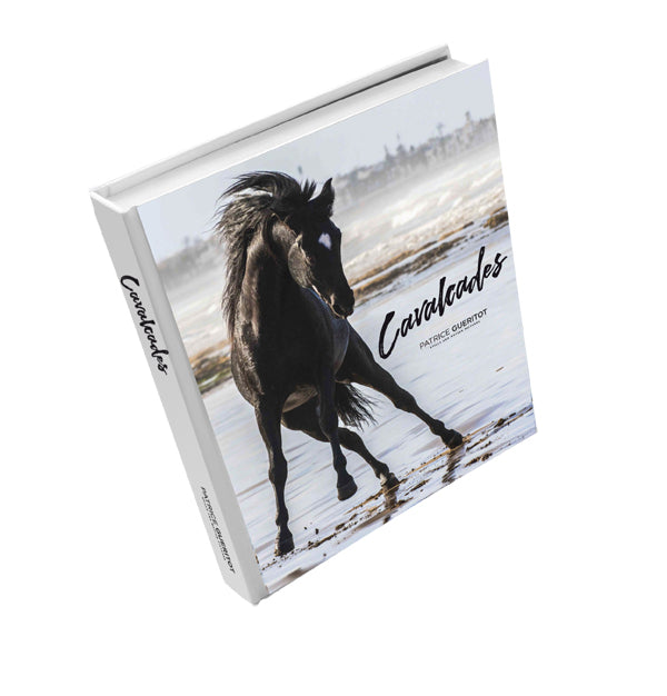 Patrice Gueritot- Photographe Livre Cavalcades