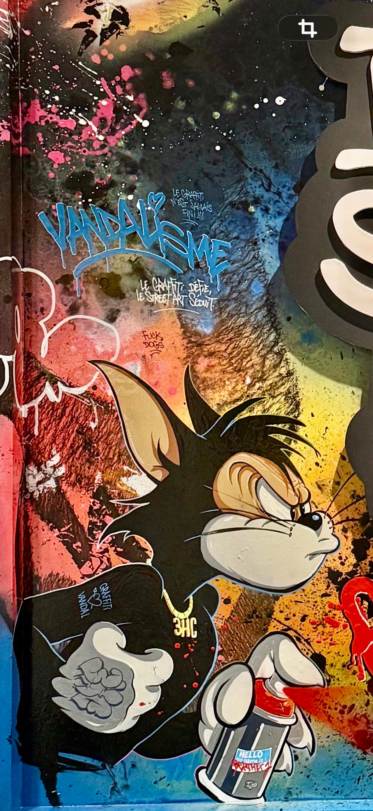 BERTHET ONE - Tom et Jerry Graffiti VS Street Art