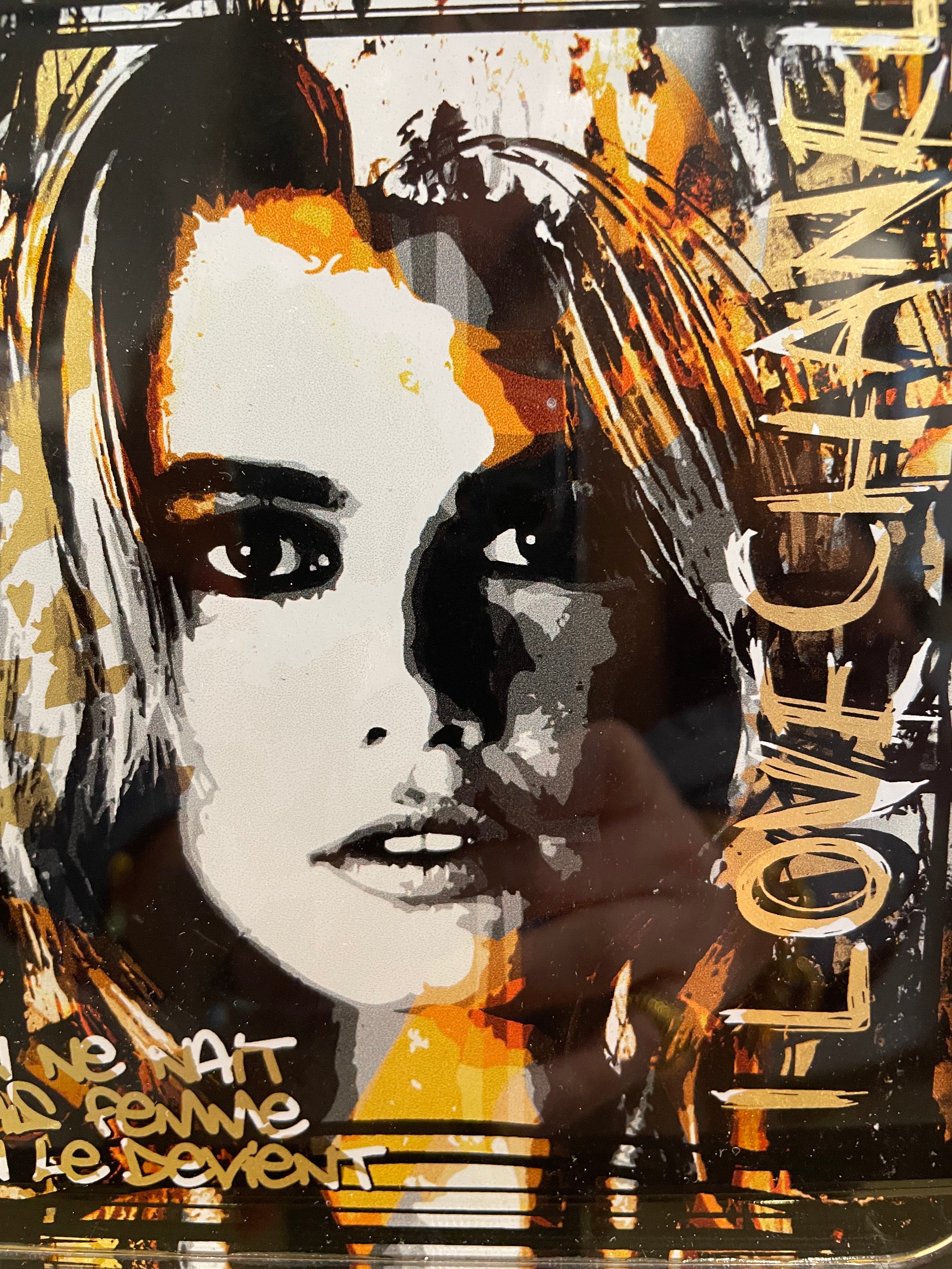 Fred Meurice " Eclat éternel "