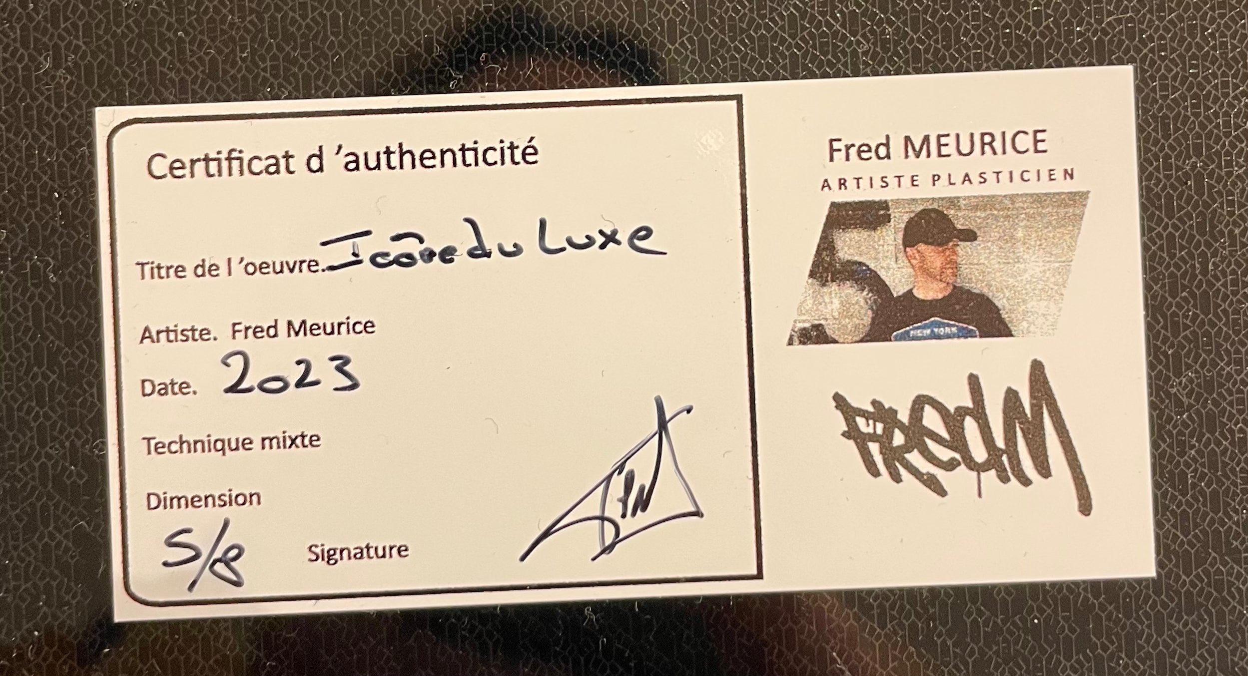 Fred Meurice " Eclat éternel "