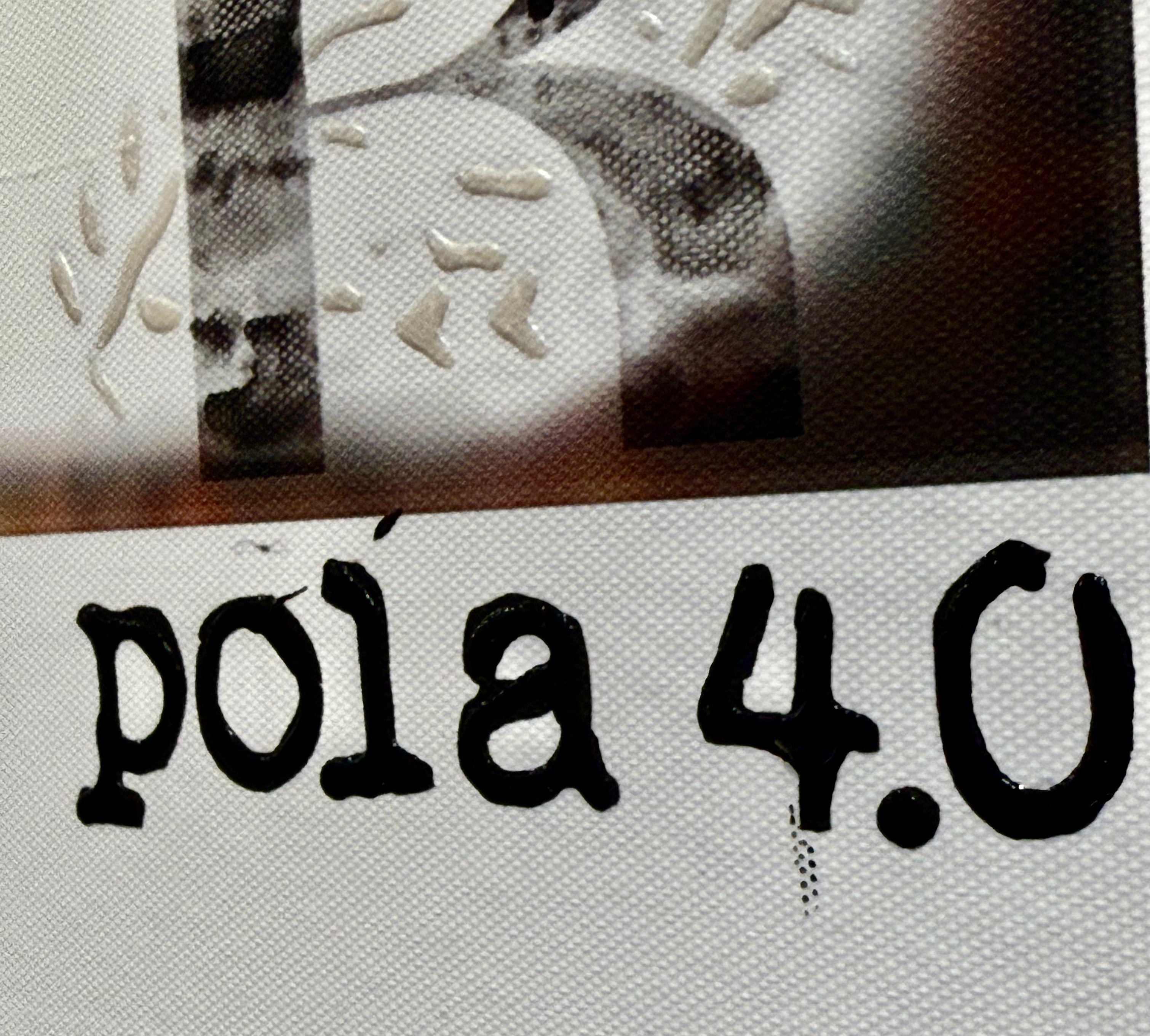 Pola 4.0 Toile Bazaar Coiffe amérindienne