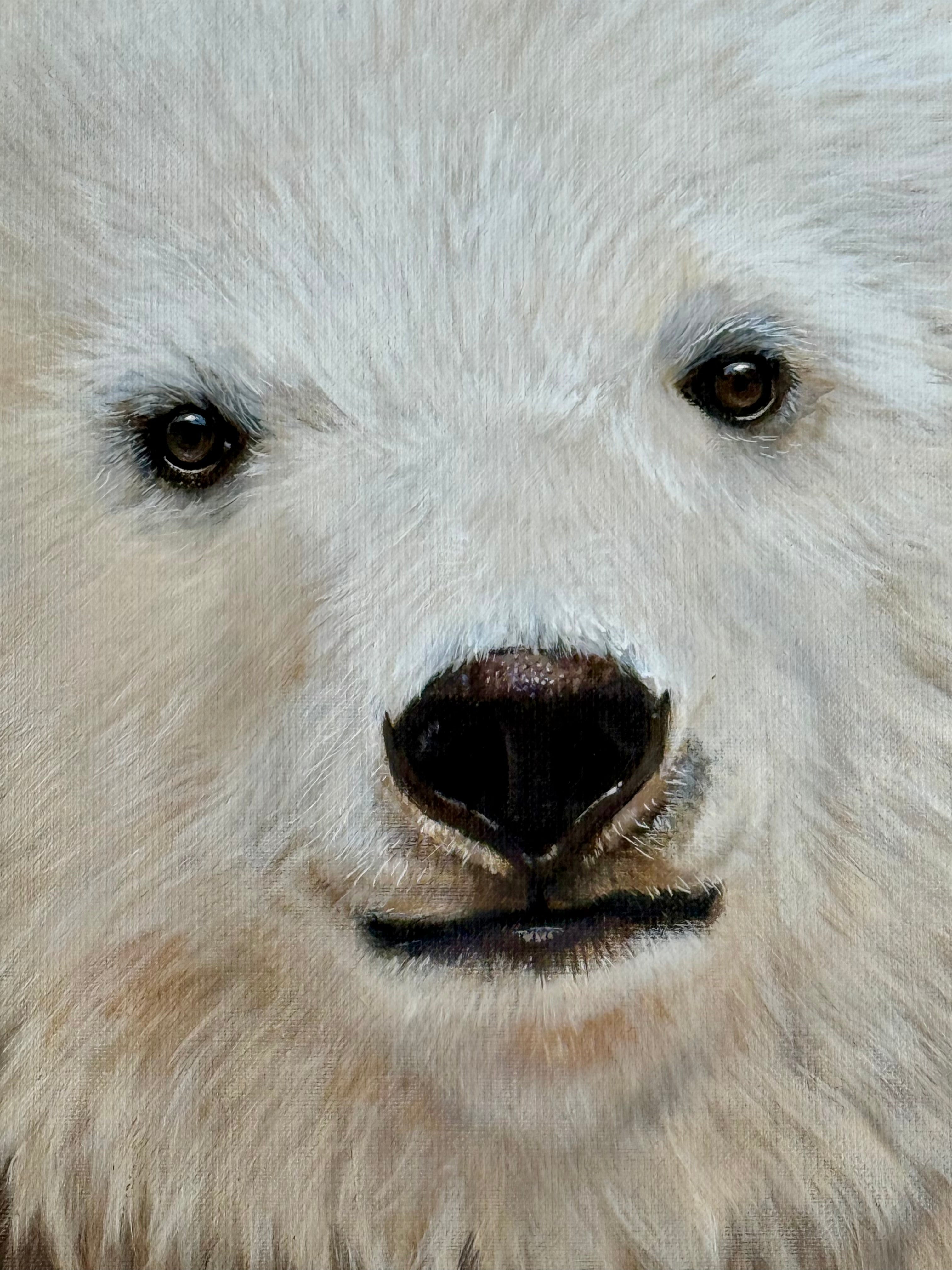 Dave Baranes - Doudou