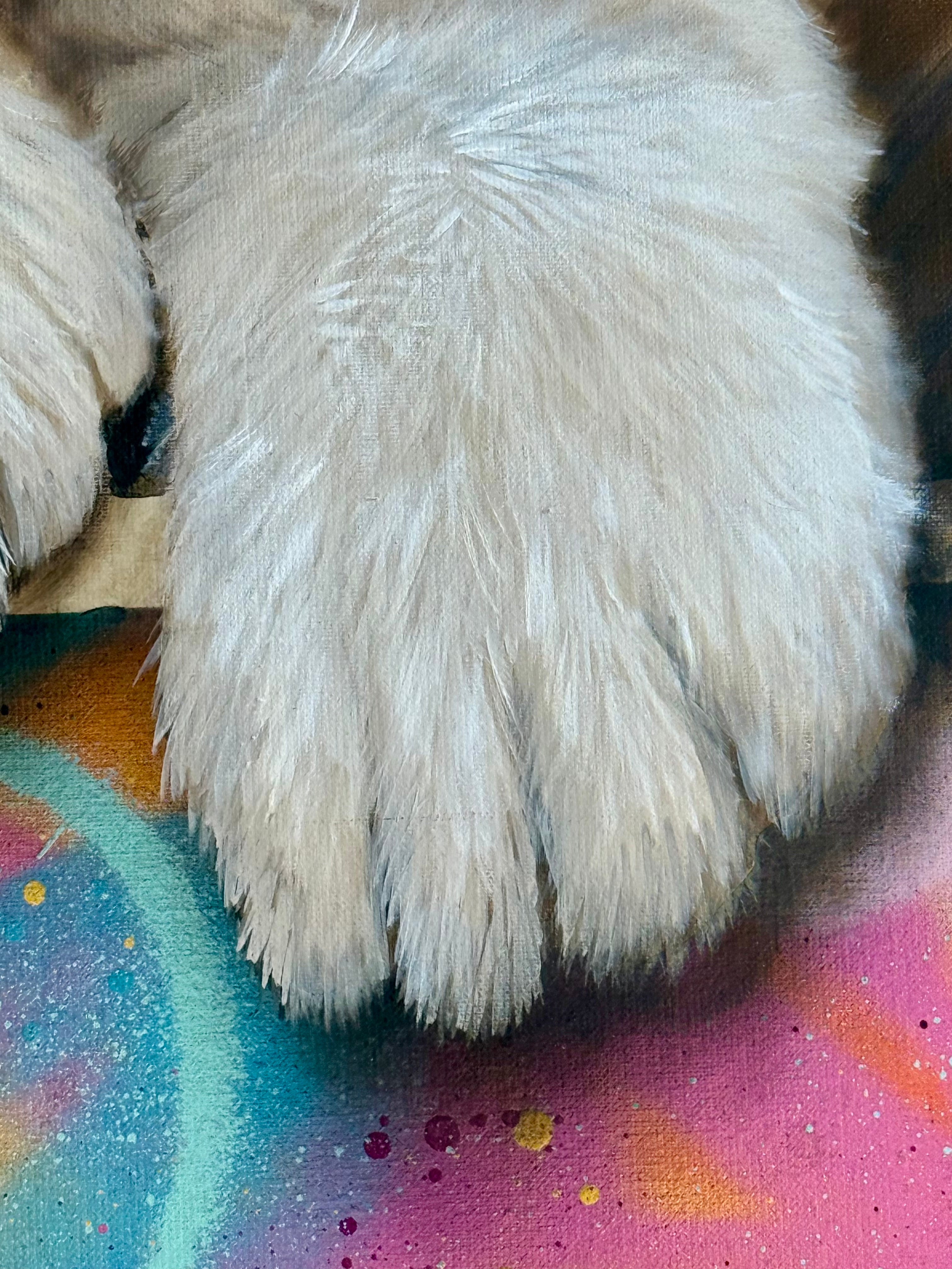 Dave Baranes - Doudou