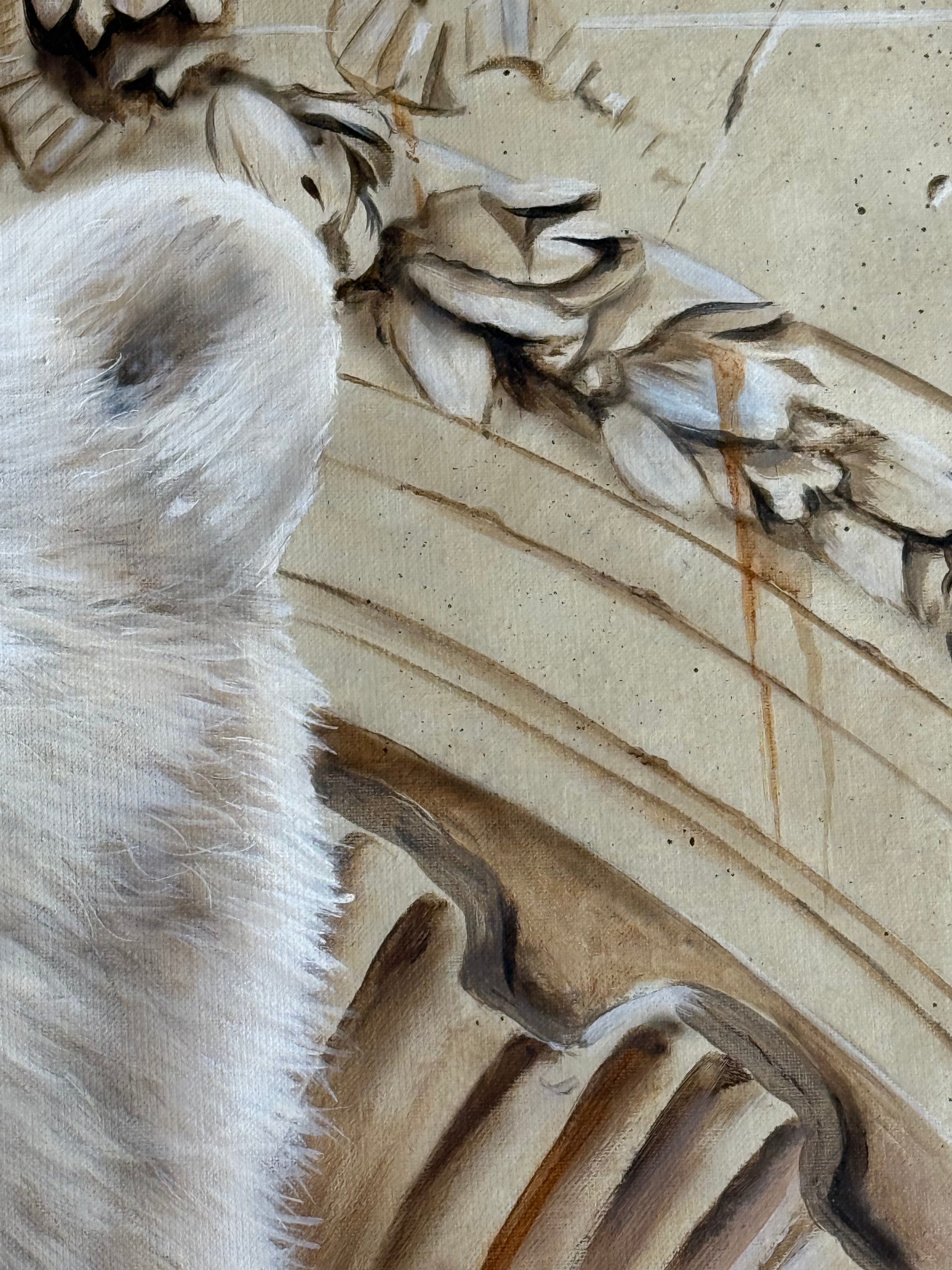 Dave Baranes - Doudou