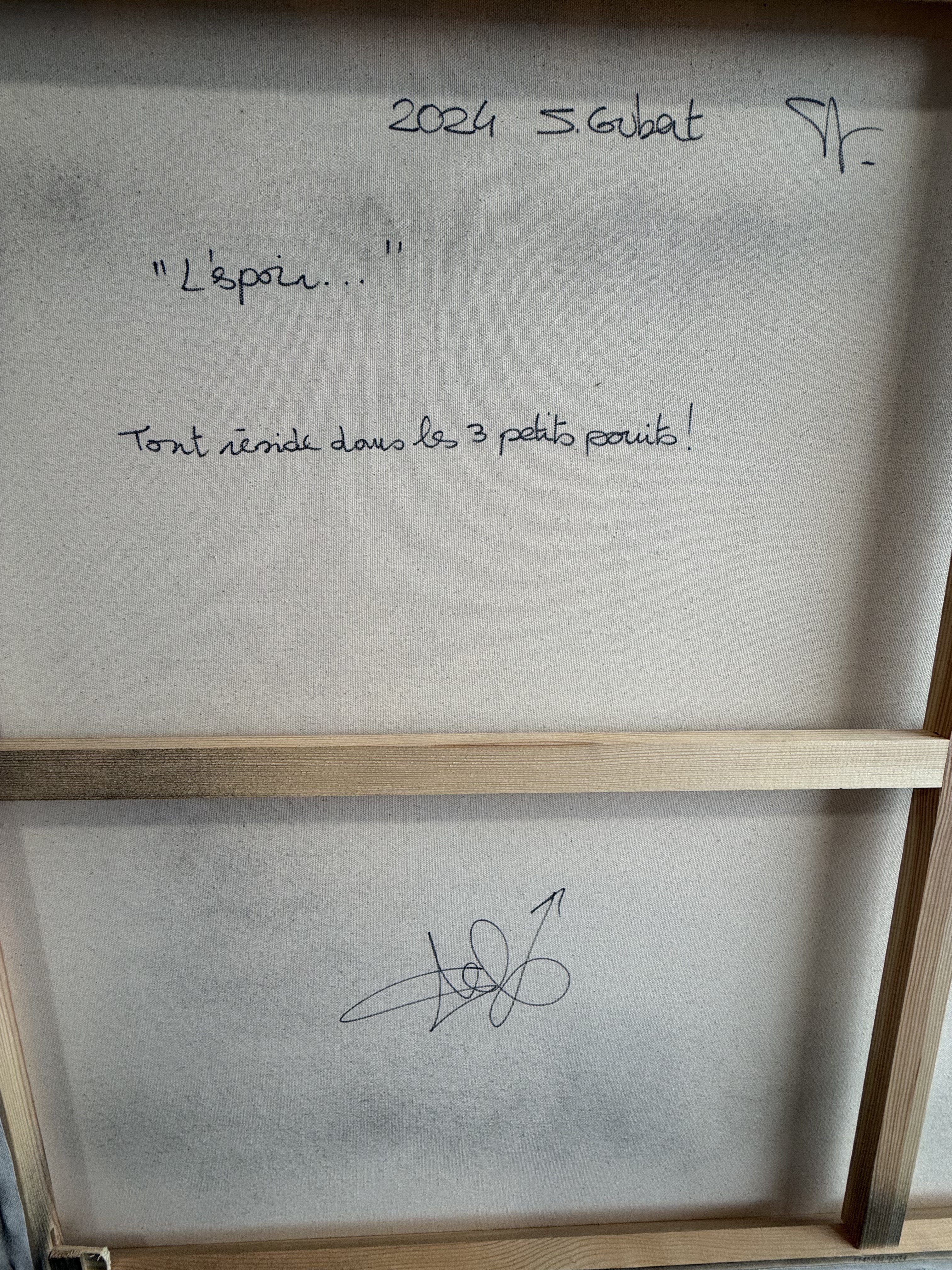 Stéphane Gubert HOPE