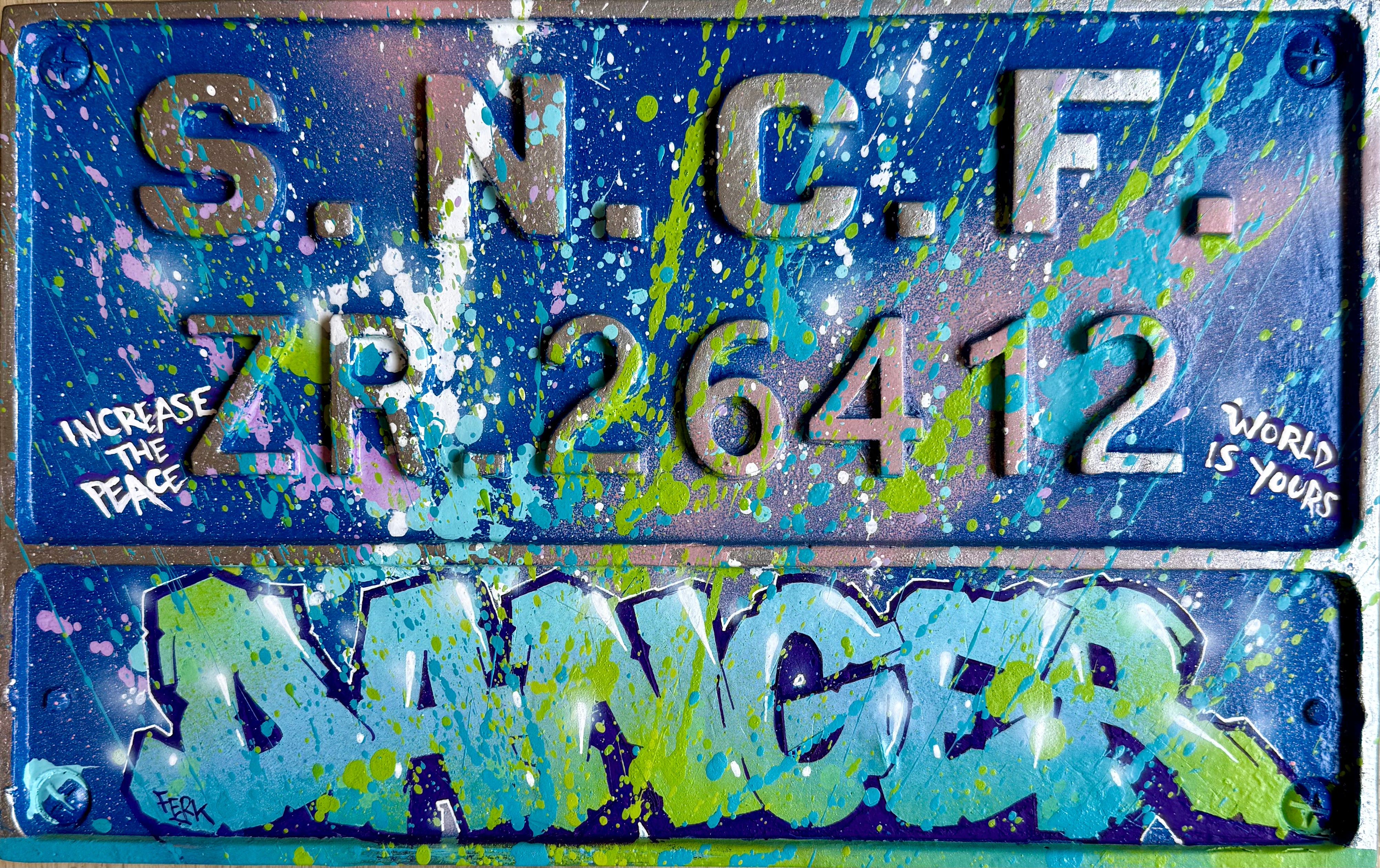 Ferk plaque d'immatriculation Trains Bleus de Saint Lazare DANGER