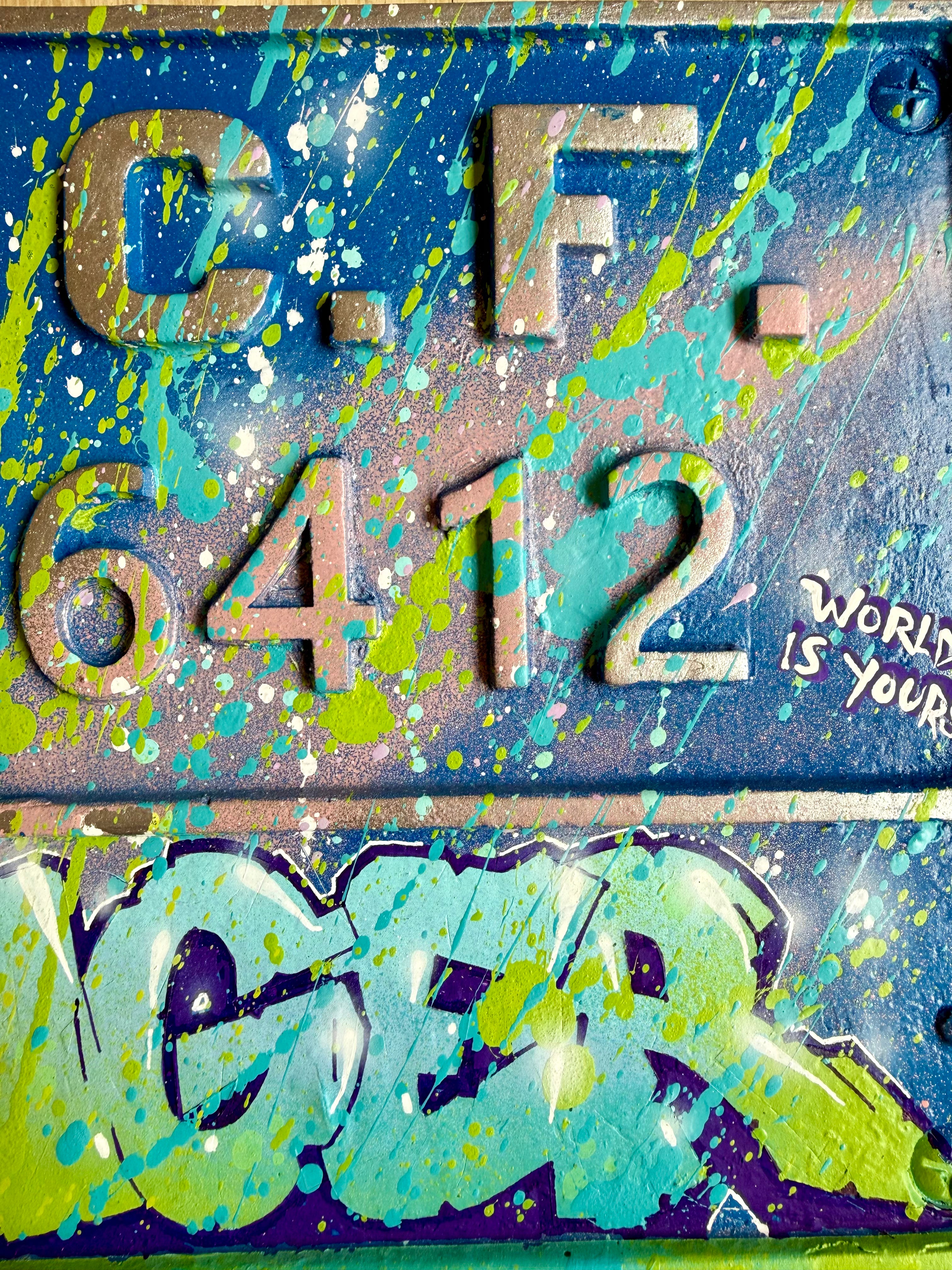 Ferk plaque d'immatriculation Trains Bleus de Saint Lazare DANGER