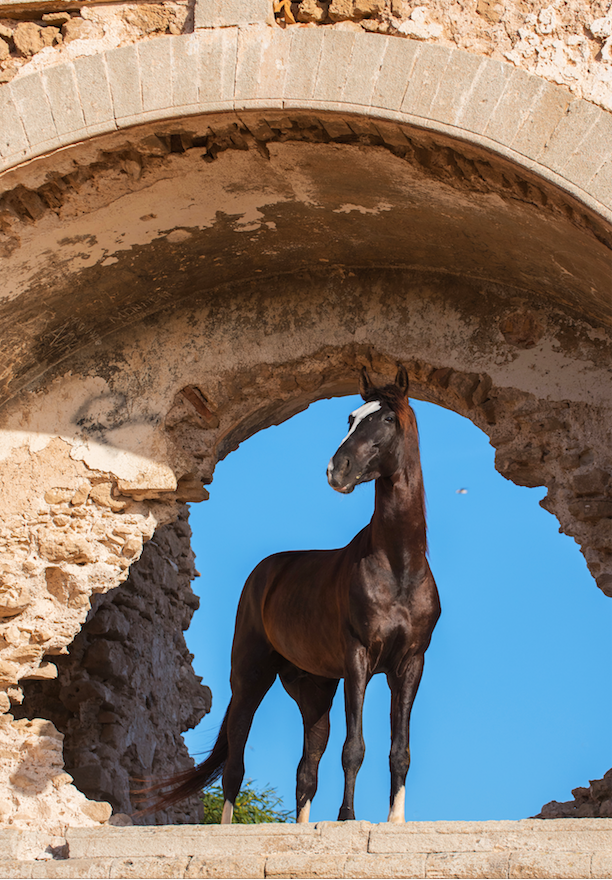 Patrice Gueritot - Photographe Jimmy H