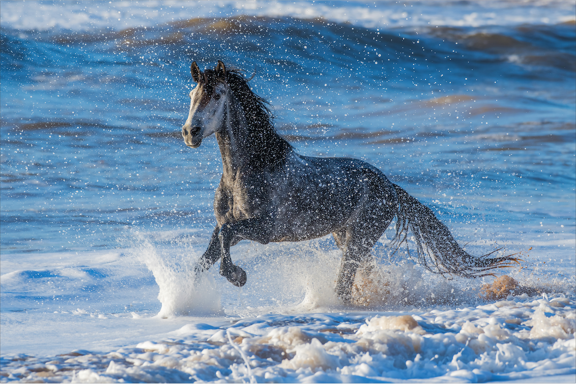 Patrice Gueritot - Photographe Le Nomade