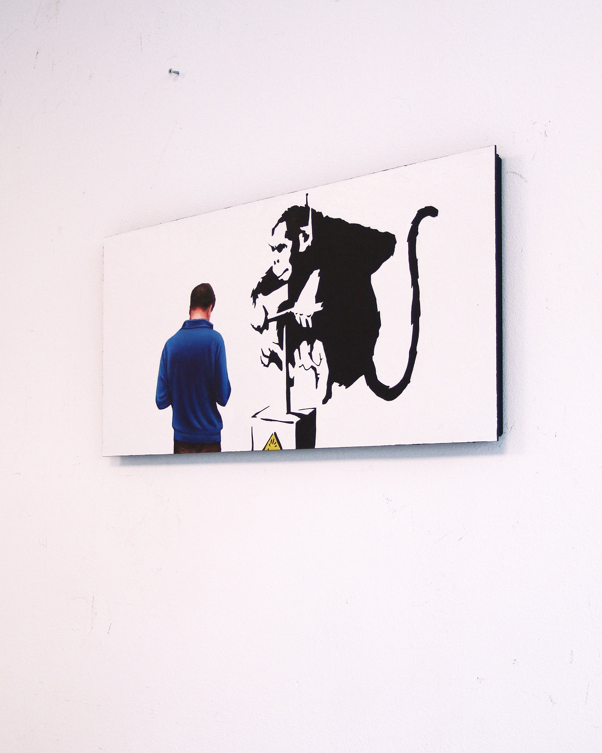 Gérard Boersma Detenoating Monkey