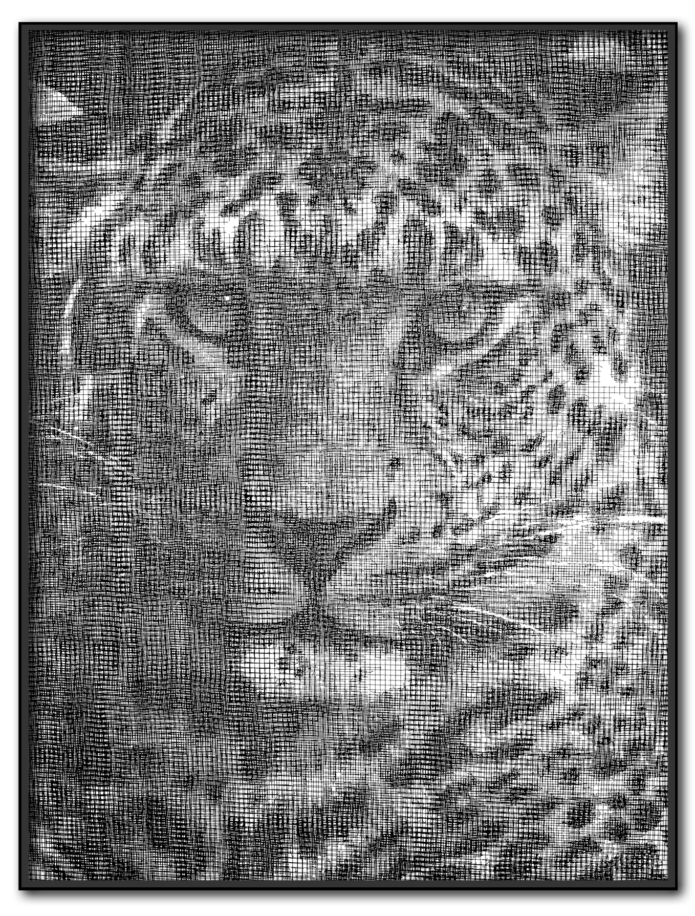 Collell - Plexi'Art " Panther #1 "