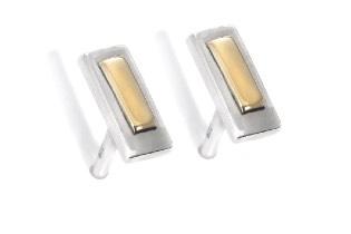 AC - Puces d’oreilles