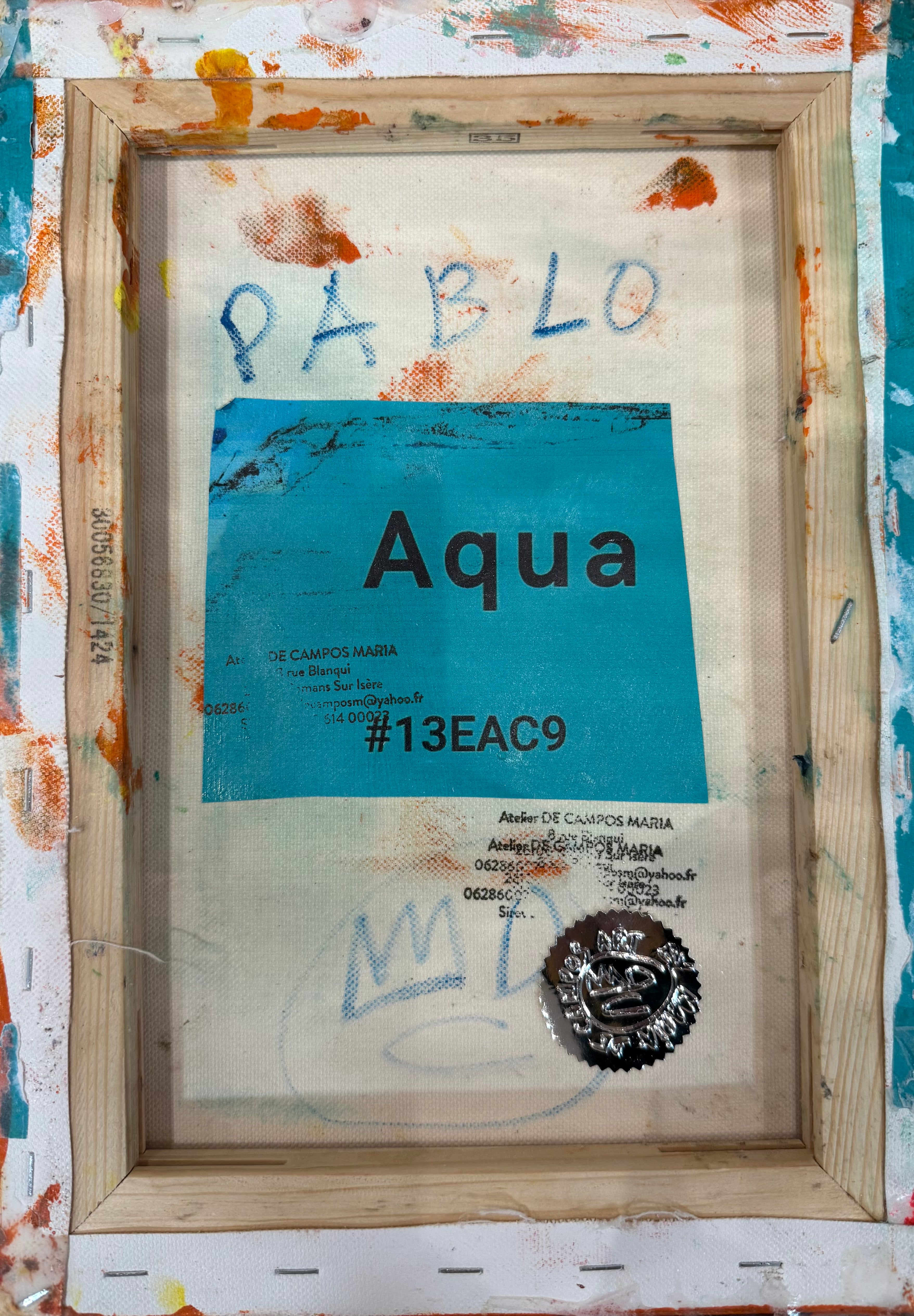 Maria de Campos - Picasso Bleu