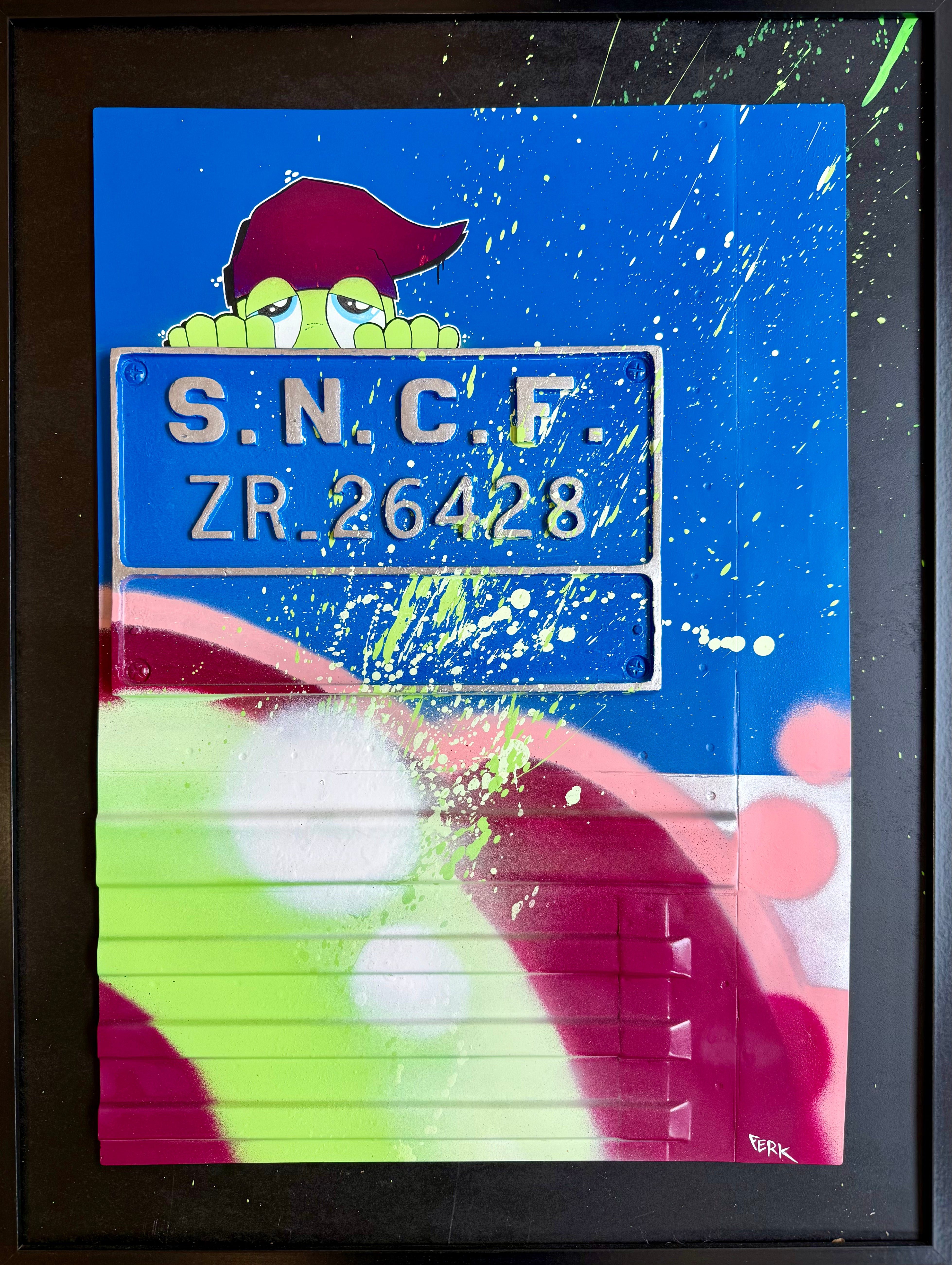 Ferk Grande plaque d'immatriculation Trains Bleus de Saint Lazare