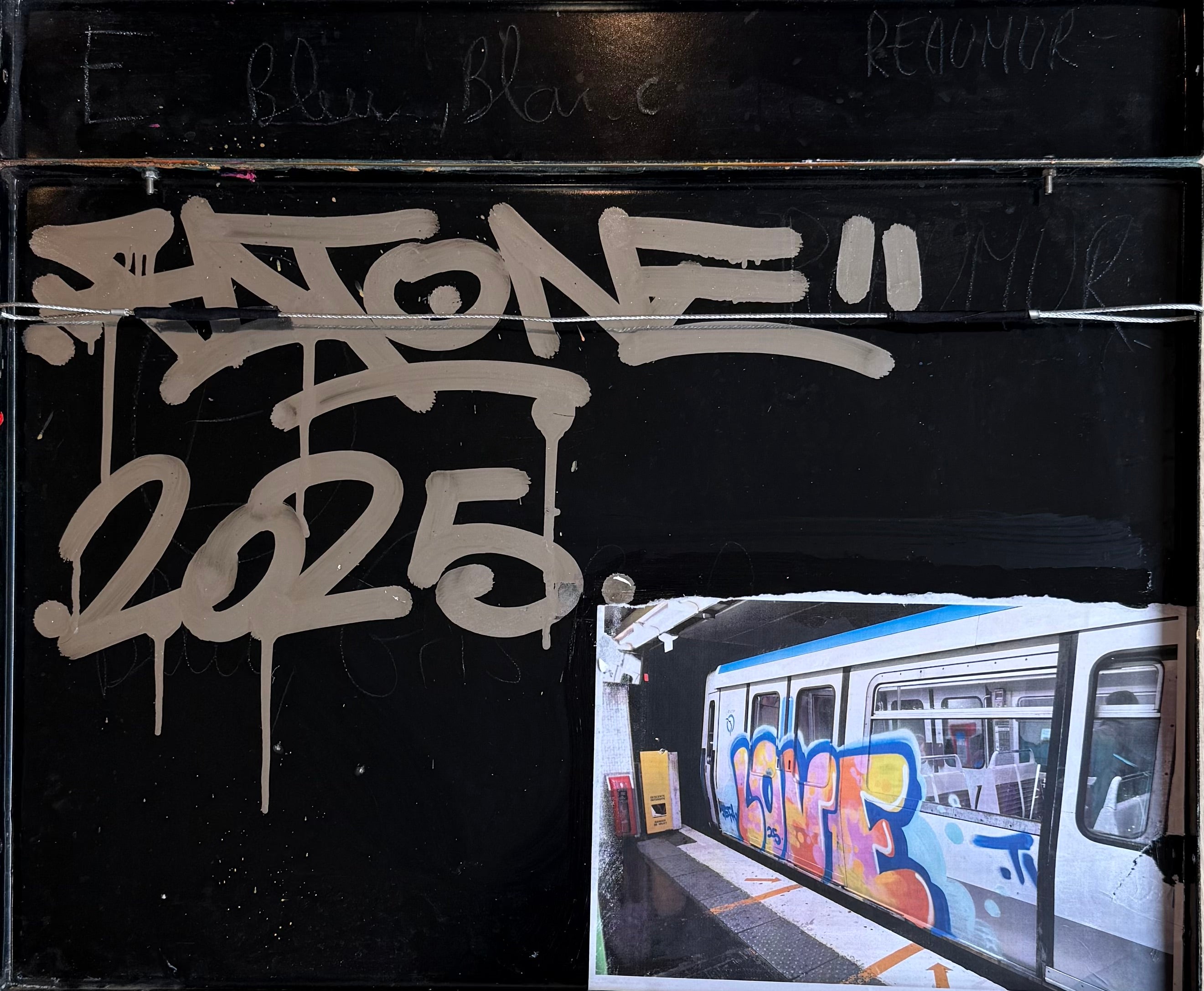 Fat - Plaque de métro FAT - Panthère rose