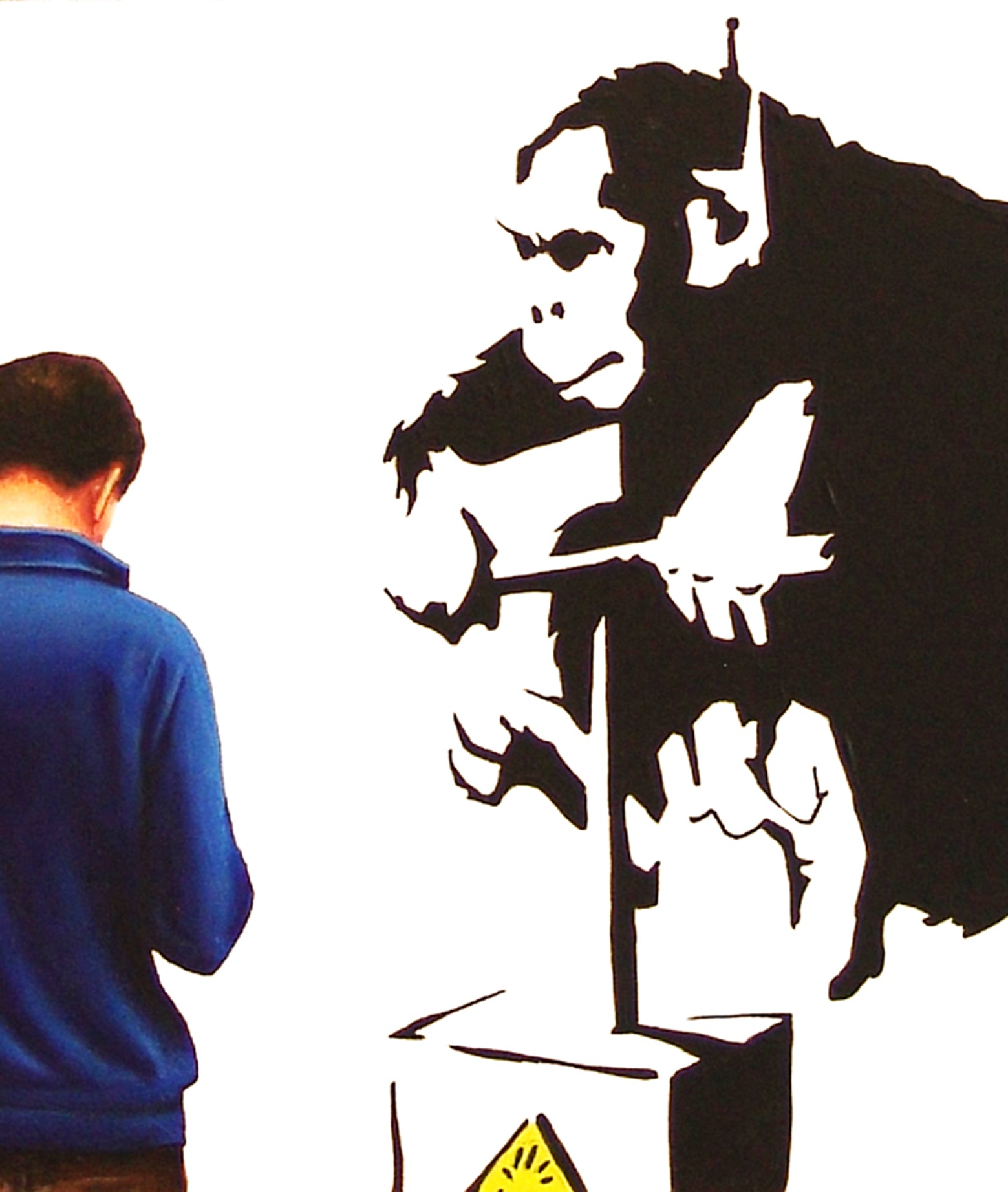 Gérard Boersma  Detenoating Monkey