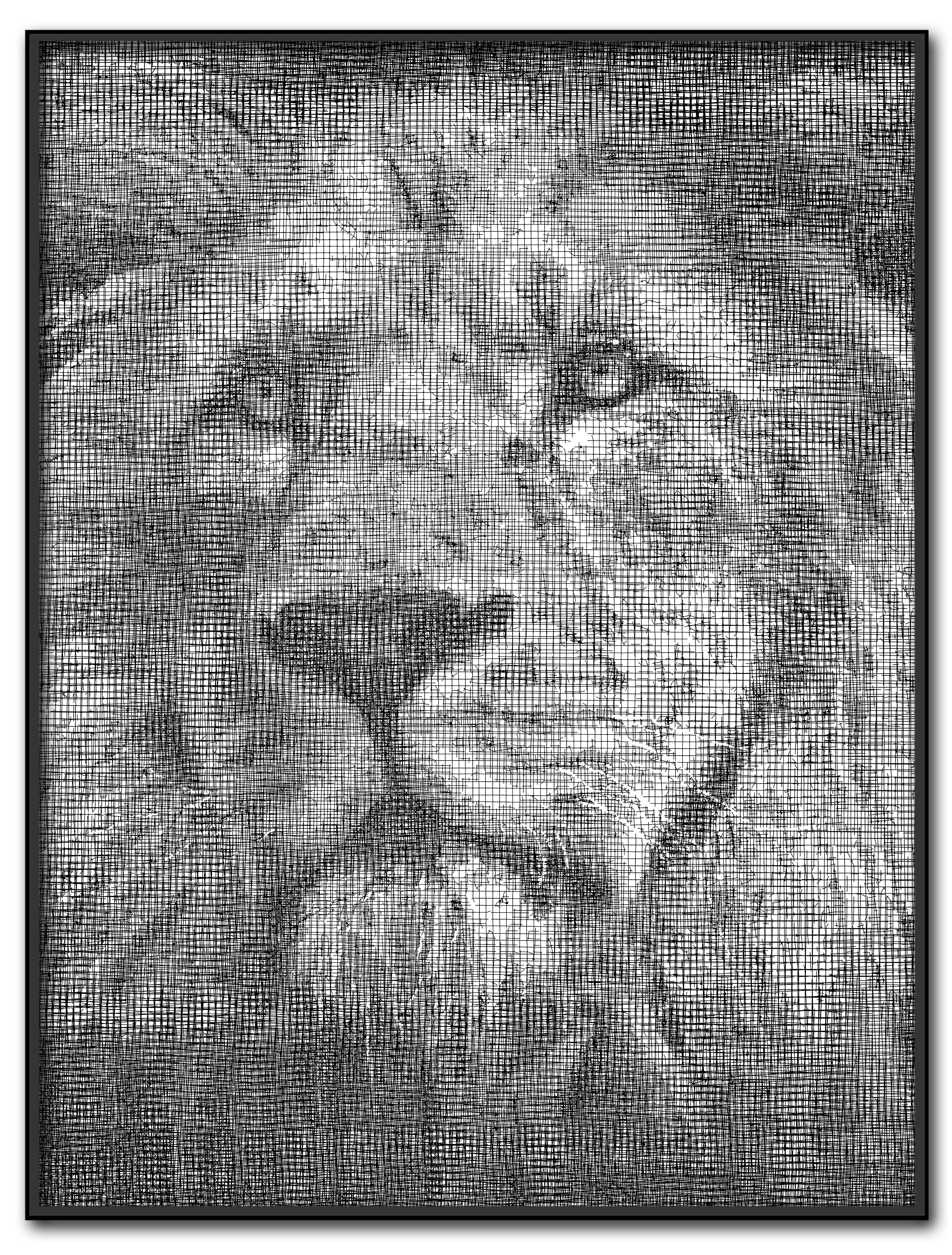 Collell - Plexi'Art " Lion #1 "