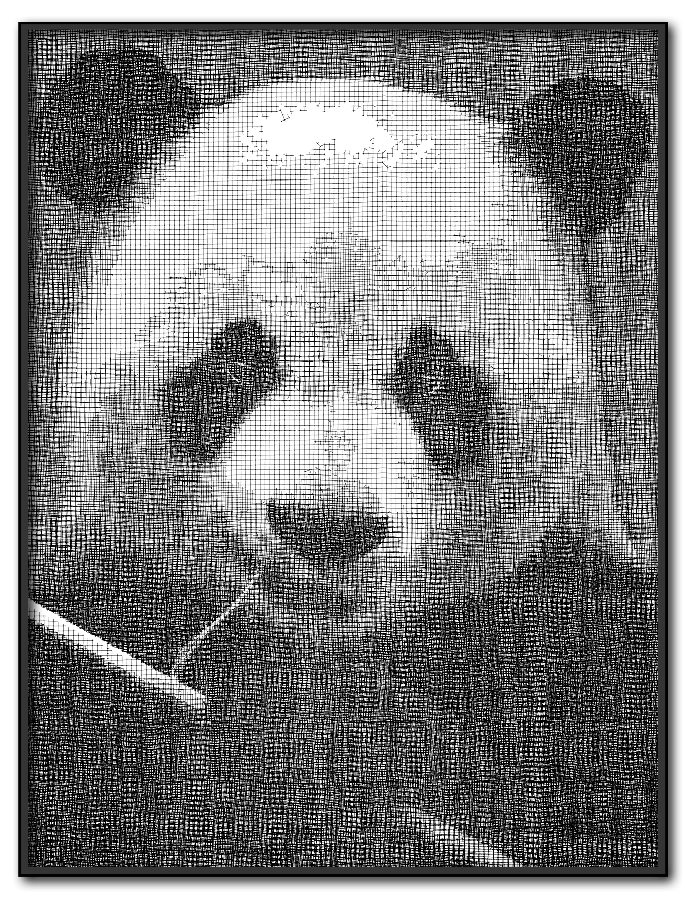 Collell - Plexi'Art " Panda #1 "
